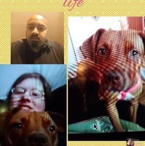 Meet your Posher, Courtney